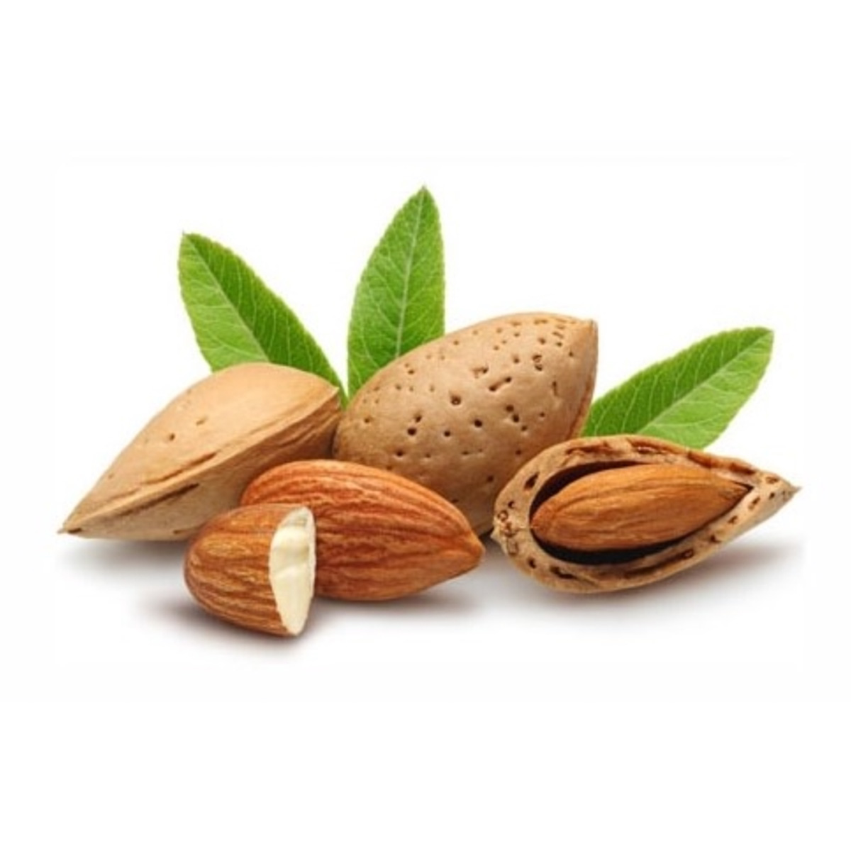 Almonds Badam