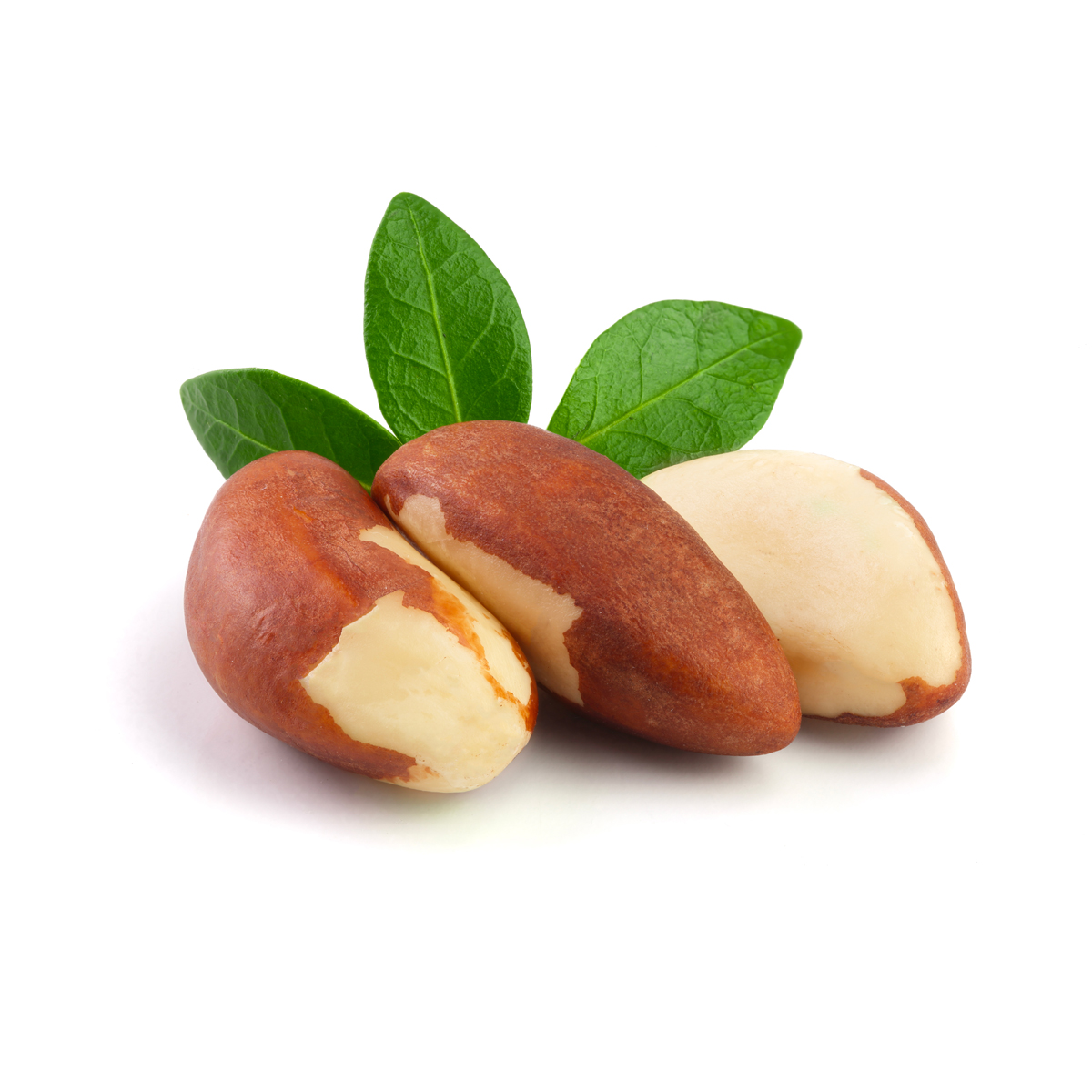Brazil Nuts