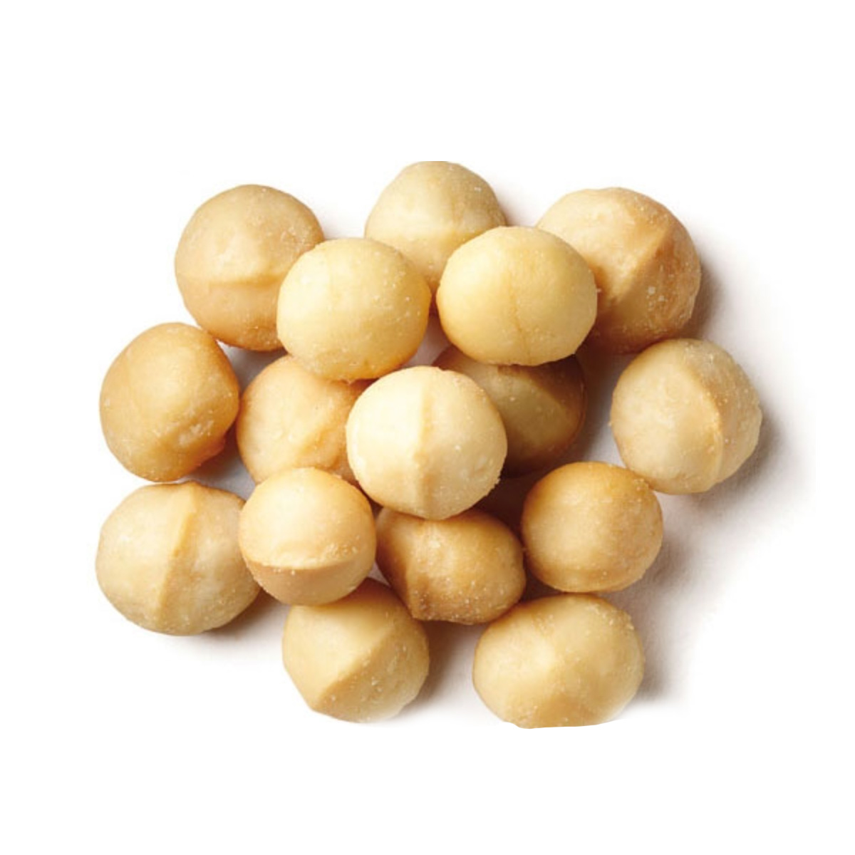 Macadamia Nuts