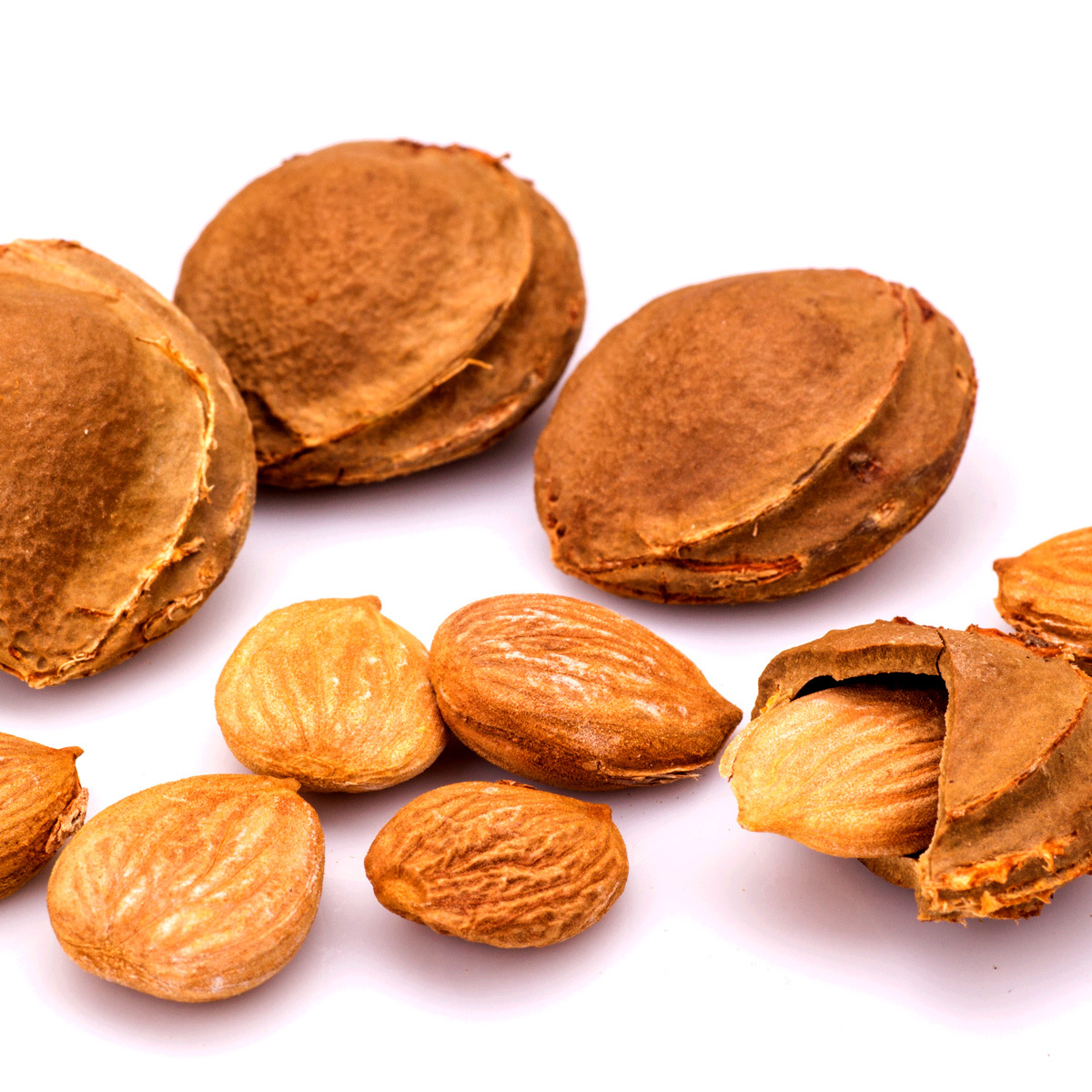 Small Apricot Almonds Khasta Badam