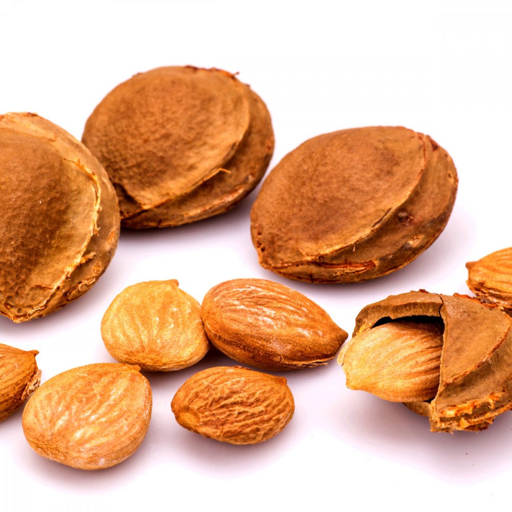 Small Badam Buy Small Apricot Almonds (Khasta Badam) Online | adfs.in.