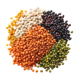 Category Alt Daal