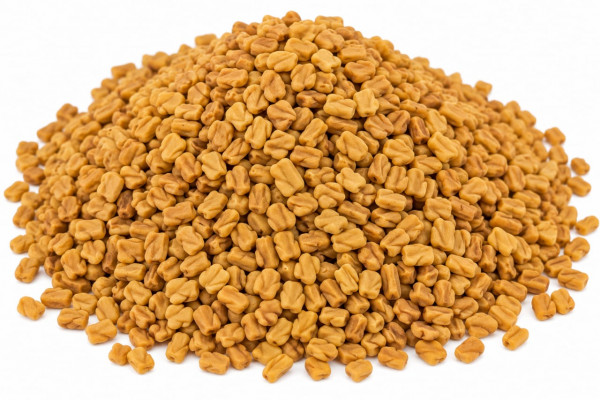 Image of Fenugreek Seeds ( Methi Dana ) 1Kg