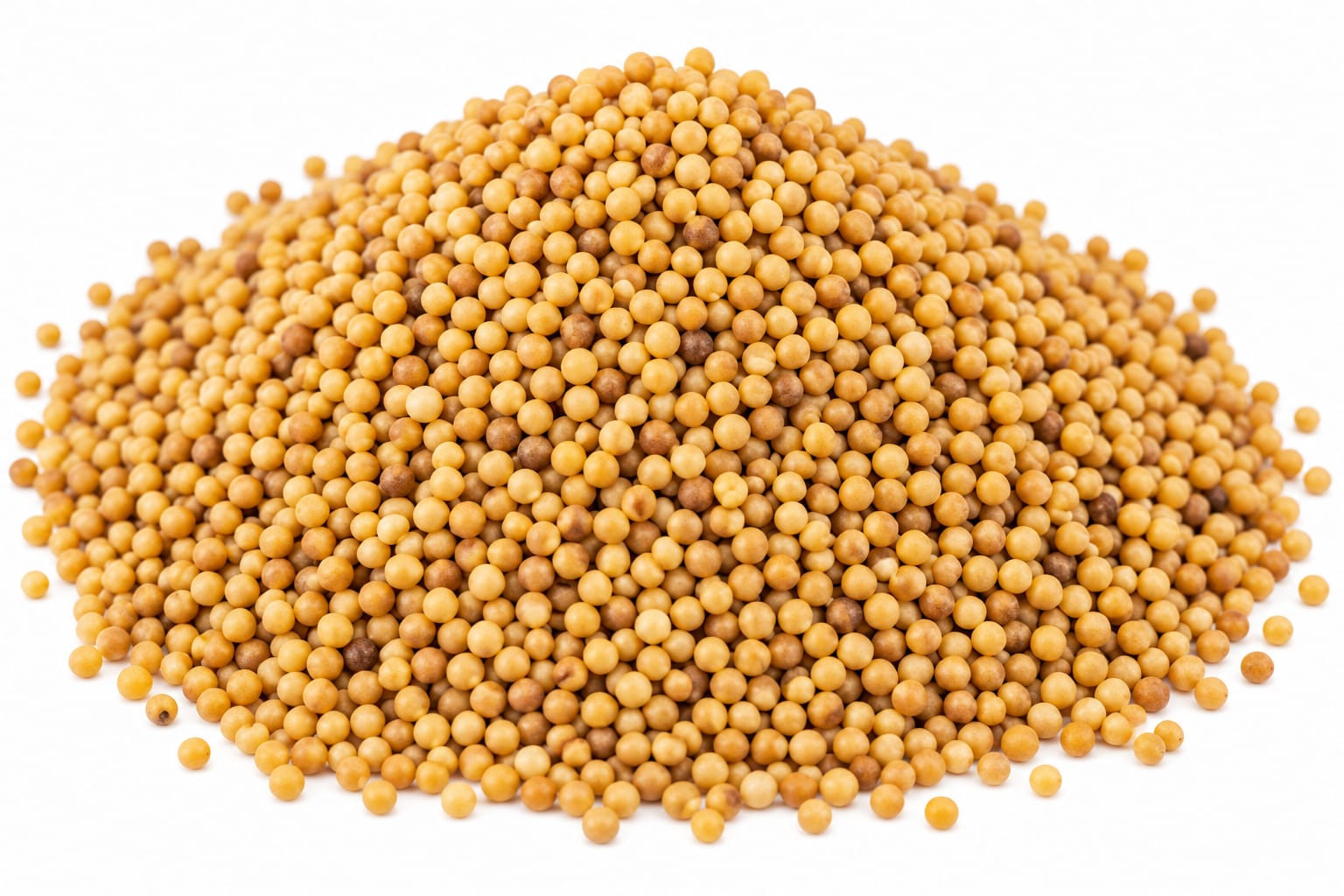 Mustard Seeds ( Rai ) 1Kg