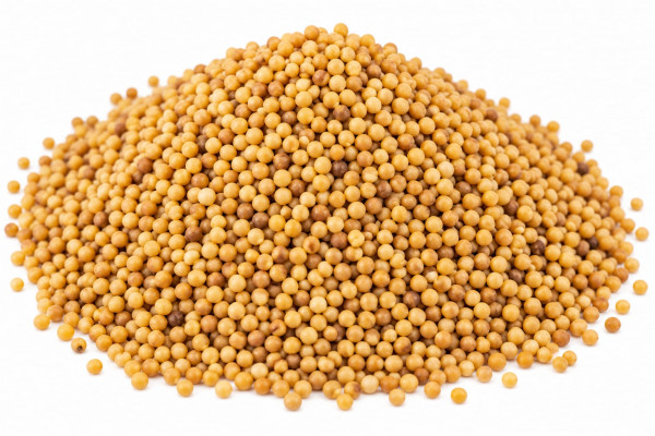 Image of Mustard Seeds ( Rai ) 1Kg