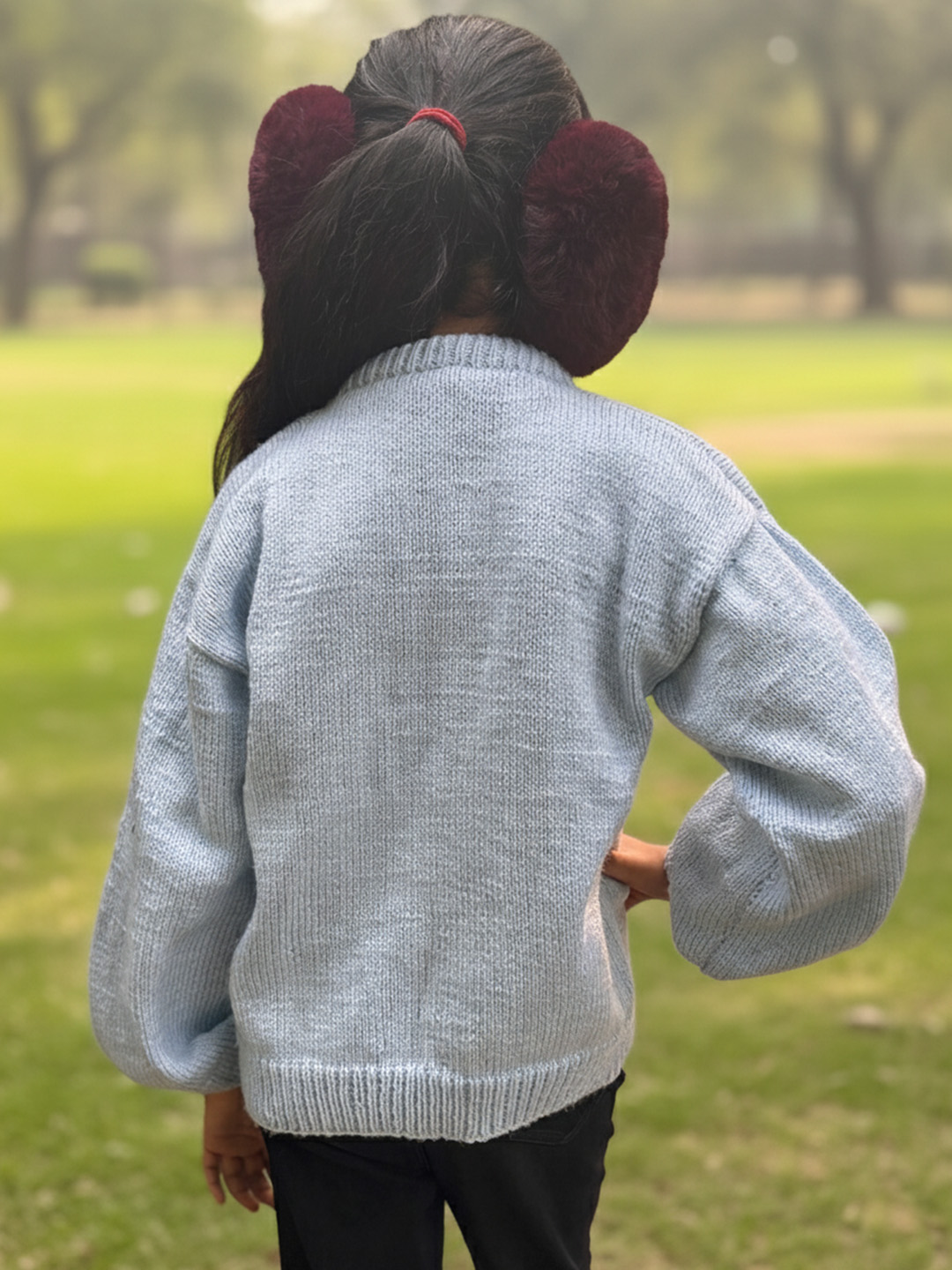 Woonie Handknitted Full Sleeves Floral Embroidered Sweater - Sky Blue