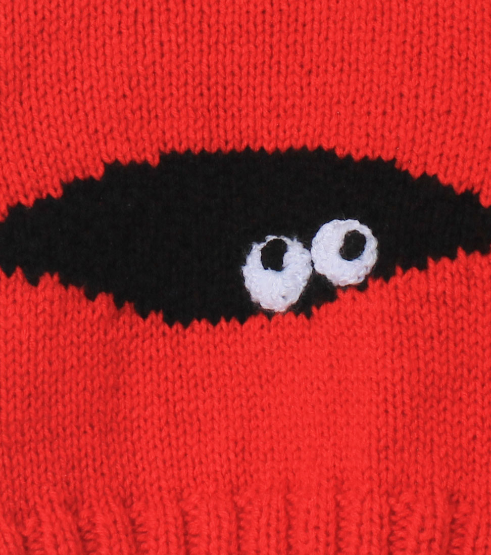 Woonie Handmade Full Sleeves Eyes Design Sweater - Red