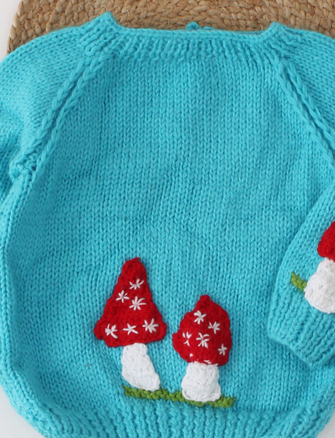 Woonie Full Raglan Sleeves Handmade Mushroom Applique Sweater - Blue