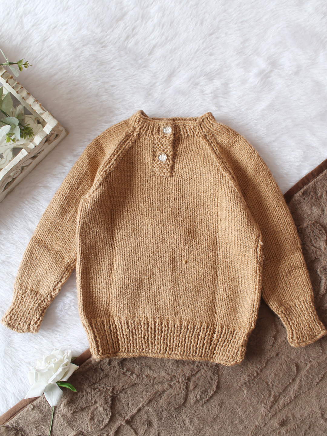 Woonie Handknitted Full Sleeves Dog Embroidered Pullover - Beige