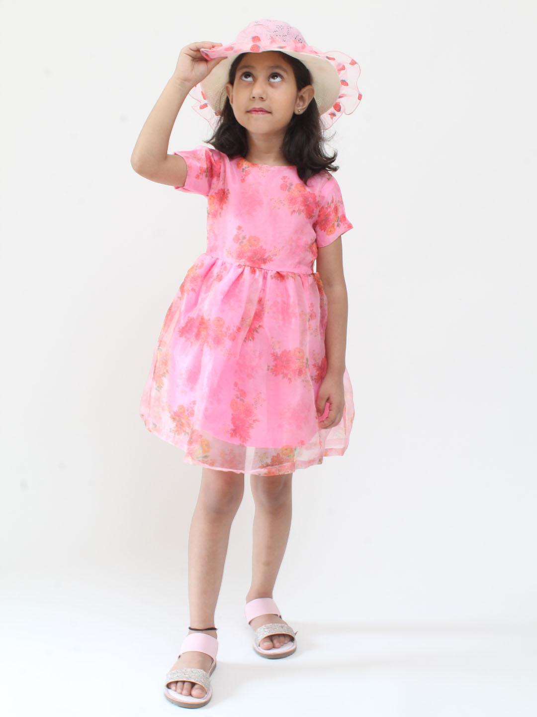Qvink Organza Half Sleeves Rose Printed Fit & Flare Dress - Pink
