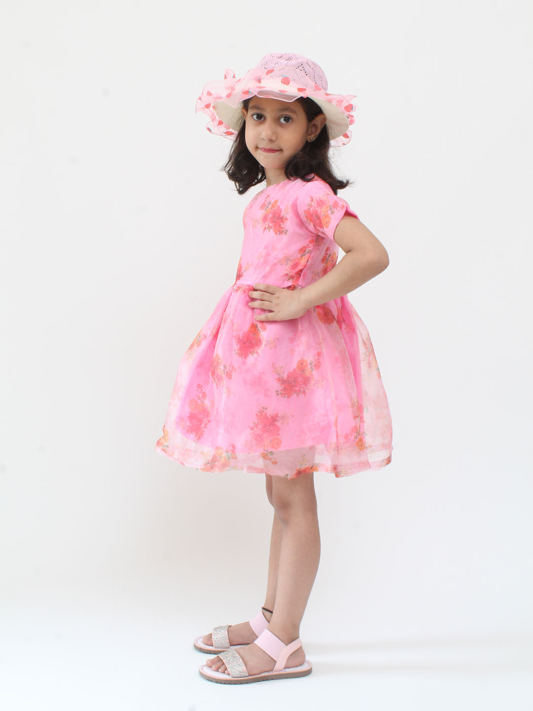 Qvink Organza Half Sleeves Rose Printed Fit & Flare Dress - Pink