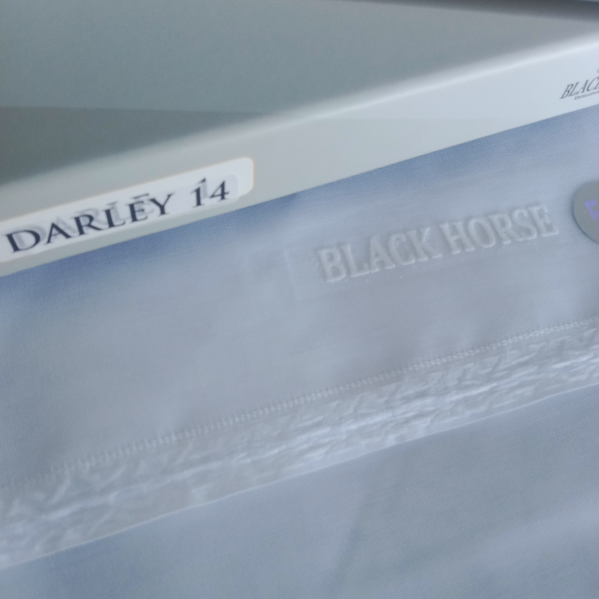   BLACK HORSE DARLEY
