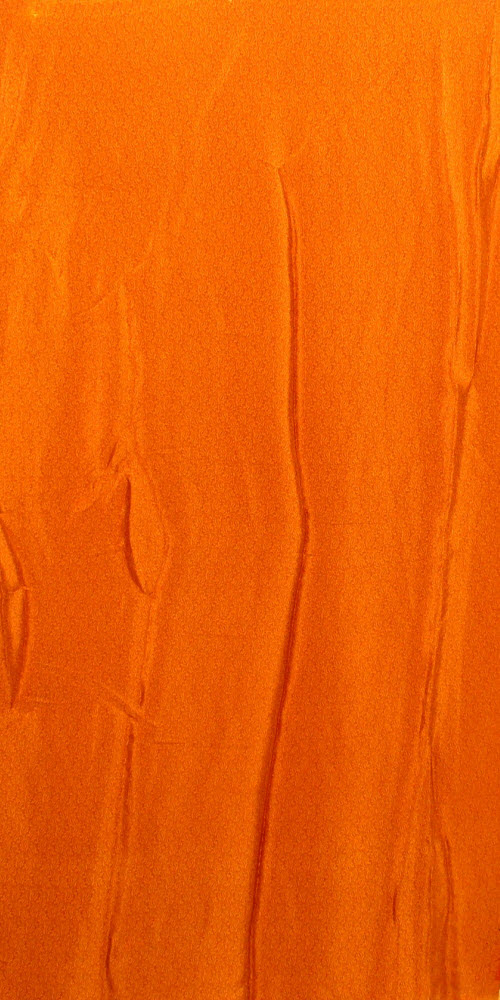 Orange Crepe Silk Saree with Blouse