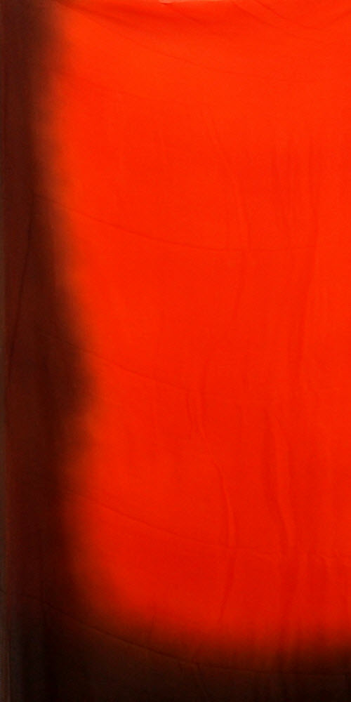 Orange-Fawn Printed Chiffon Saree with Blouse