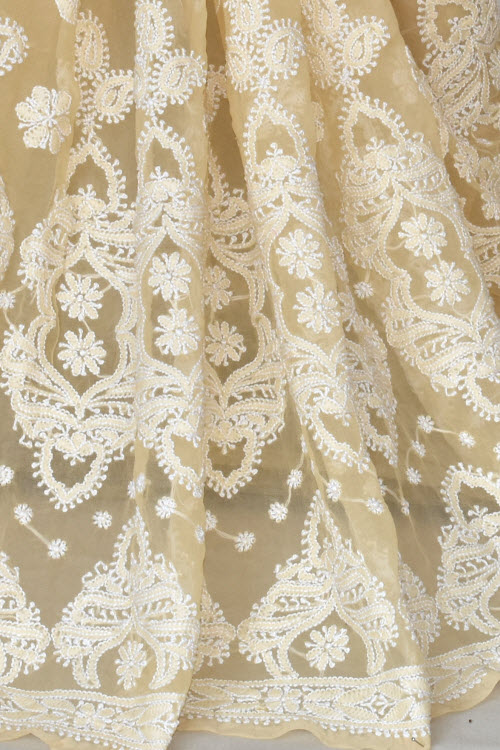 Fawn Hand-Embroidered Chikankari Georgette Saree