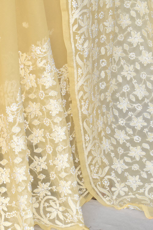 Beige Hand-Embroidered Chikankari Georgette Saree