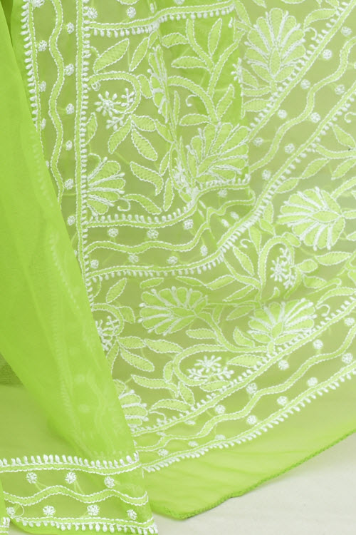 Pista Green Hand-Embroidered Lucknowi Chikankari Georgette Saree with Blouse 15006