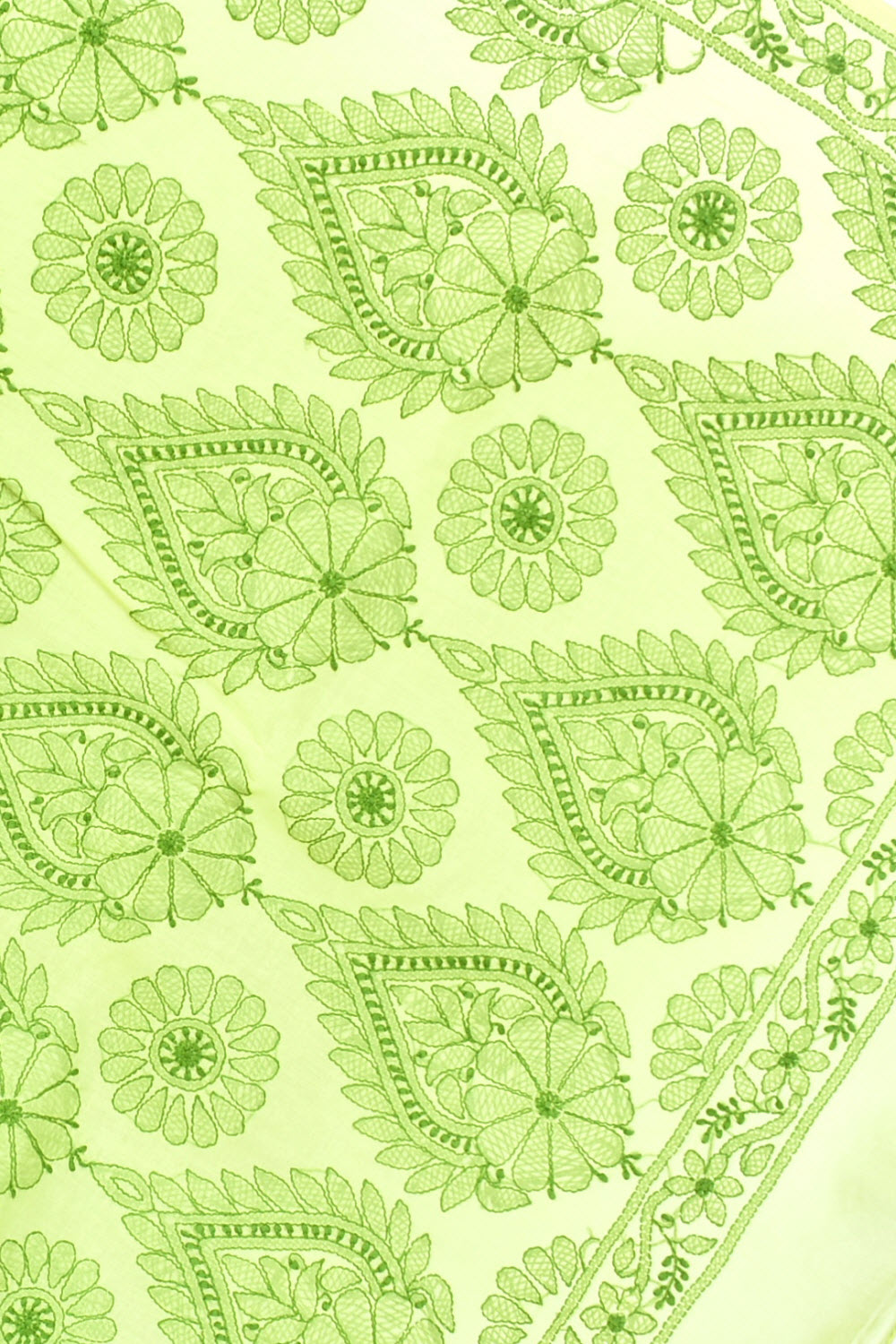 Light Mehandi Green Hand-Embroidered Lucknowi Chikankari Cotton Saree with Blouse Rich Pallu 15082