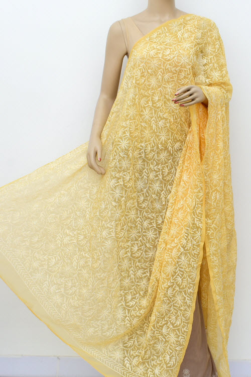 Fawn Tepchi Work Chikankari Dupatta 17971