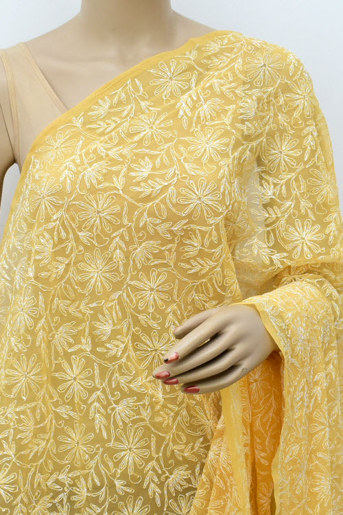 Fawn Tepchi Work Chikankari Dupatta 17971