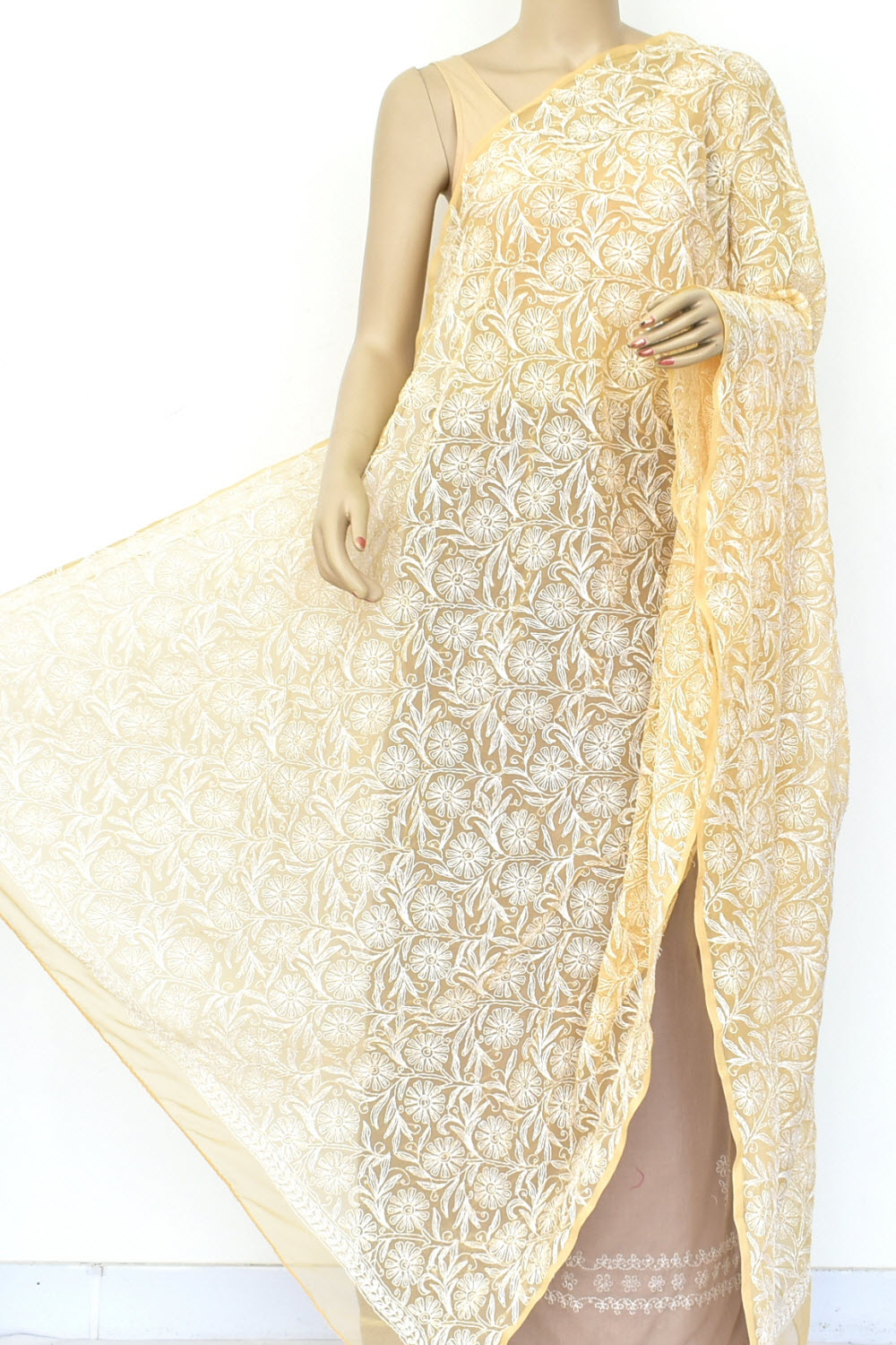 Beige Allover Hand Embroidered Tepchi Work Lucknowi Chikankari Dupatta Georgette