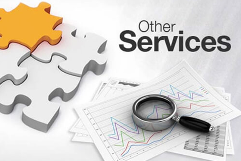 Other Services