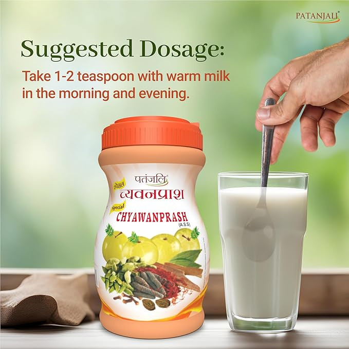 Patanjali Special Chyawanprash 500GM