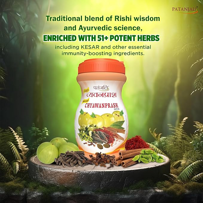 Patanjali Special Chyawanprash 500GM