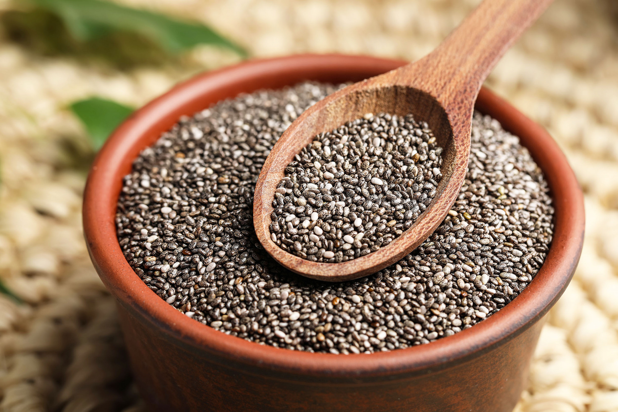 CHIA SEEDS 100GM