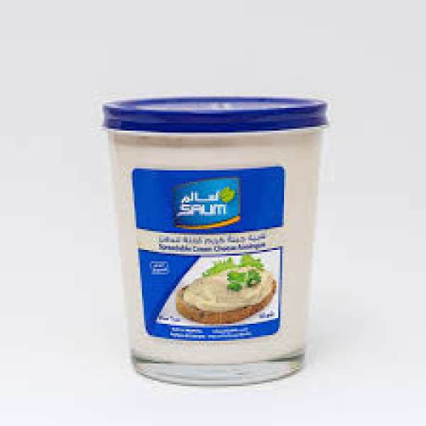 Image of SALEM CREAM CHEESE SPREAD 230GM