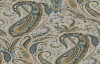 Paisley Velvet