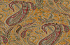Paisley Velvet