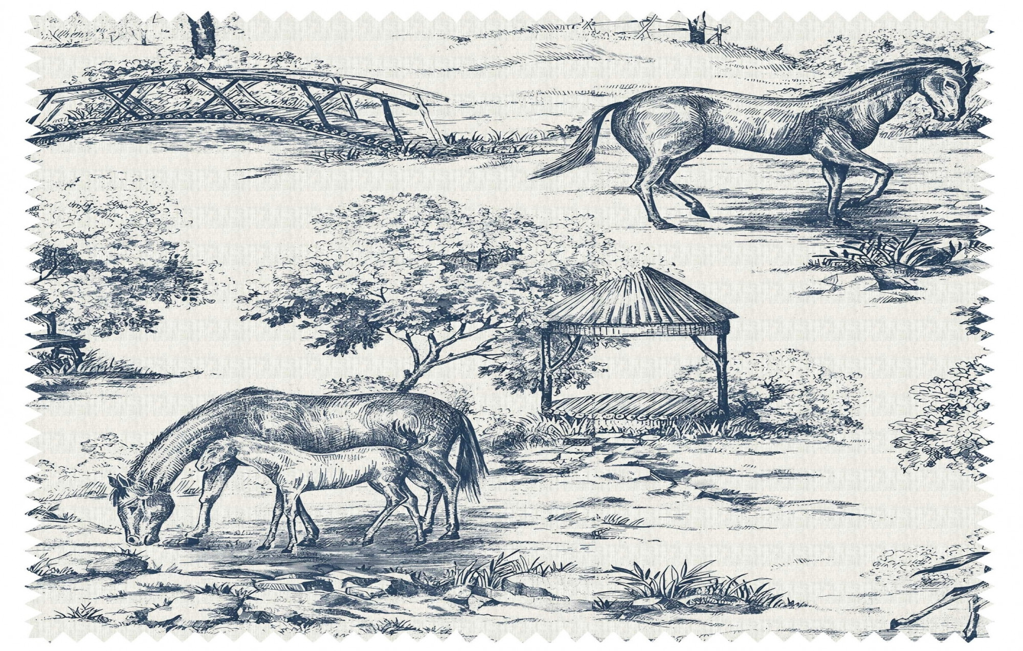 Toile