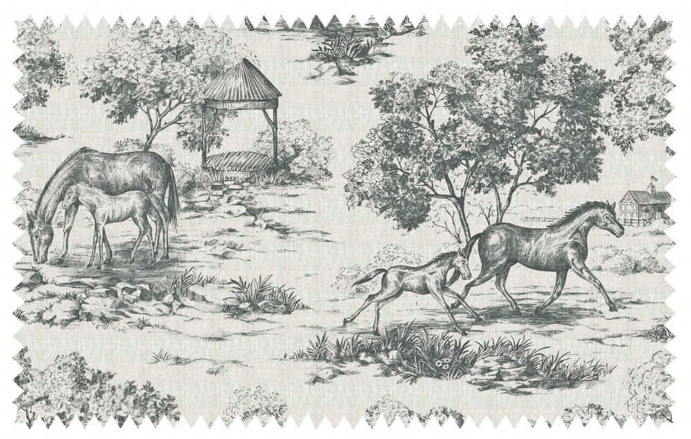 Image of Toile
