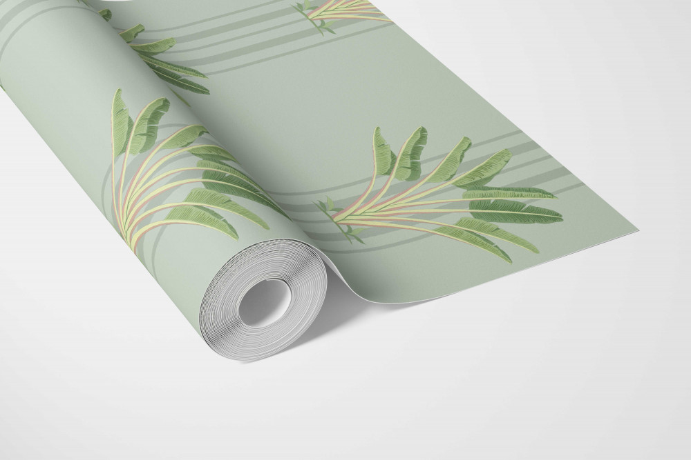 Image of Jungle Safari