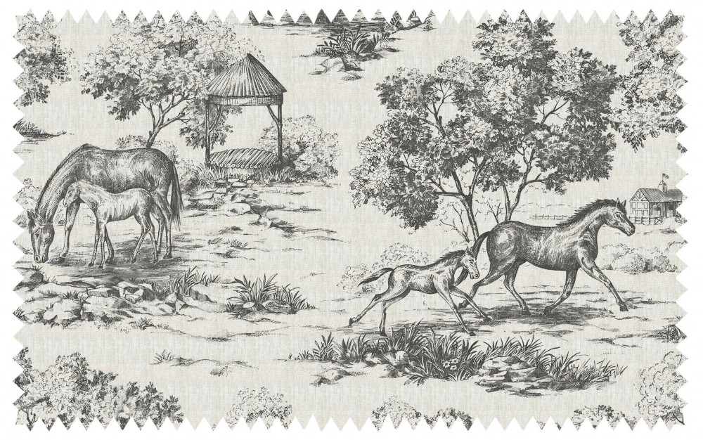 Image of Toile