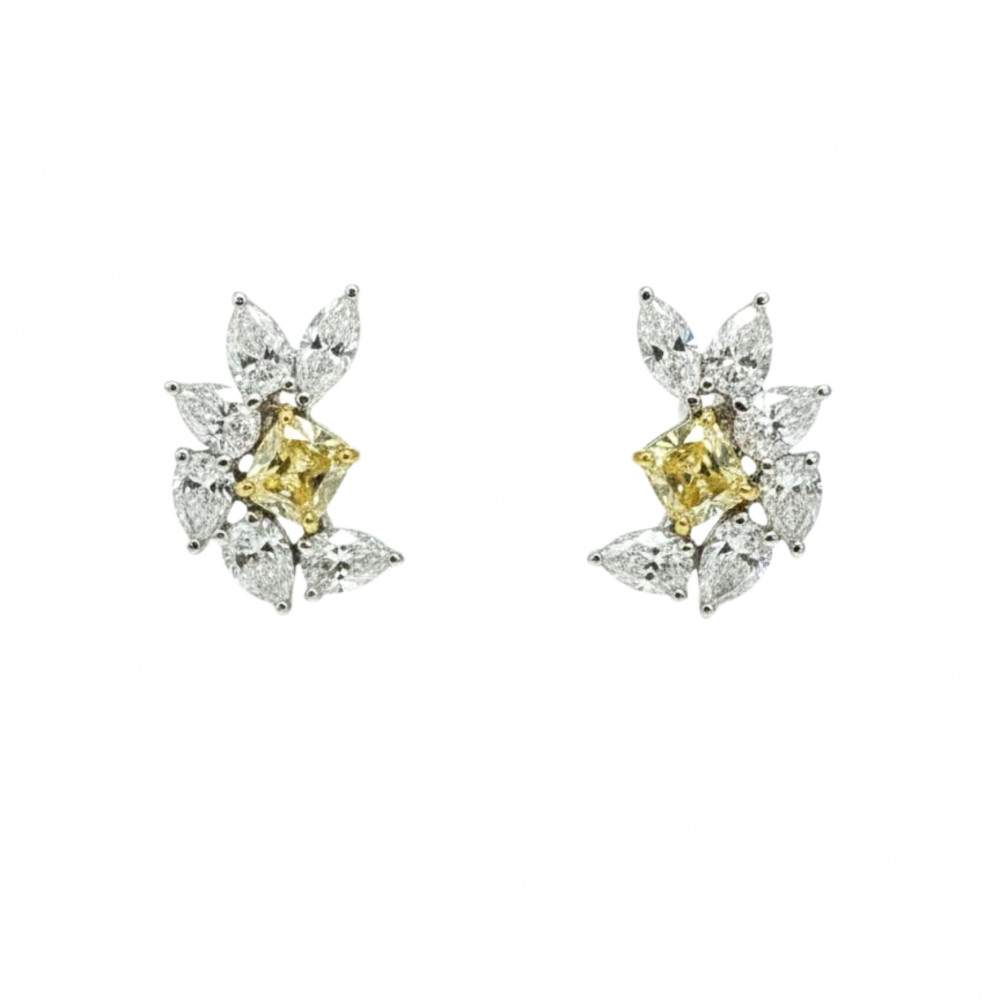 Image of Fancy Diamond Earring
