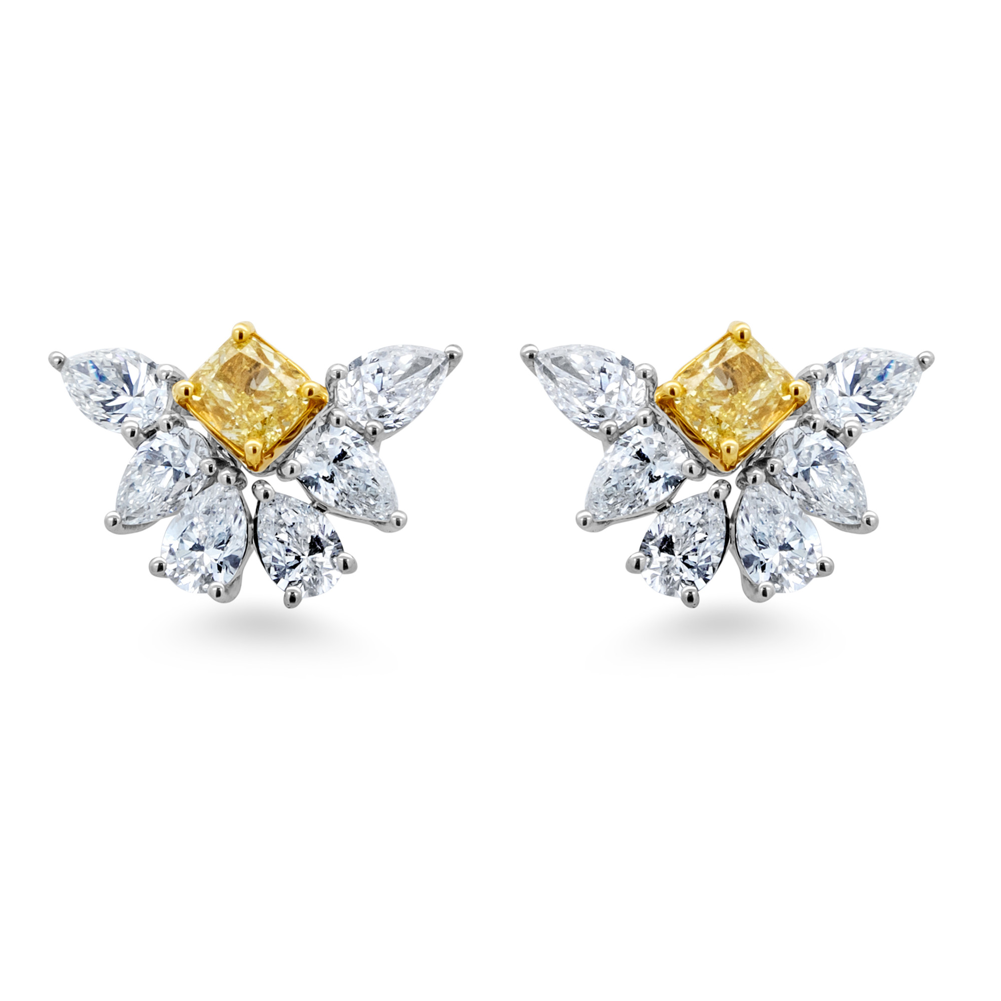 Fancy Diamond Earring