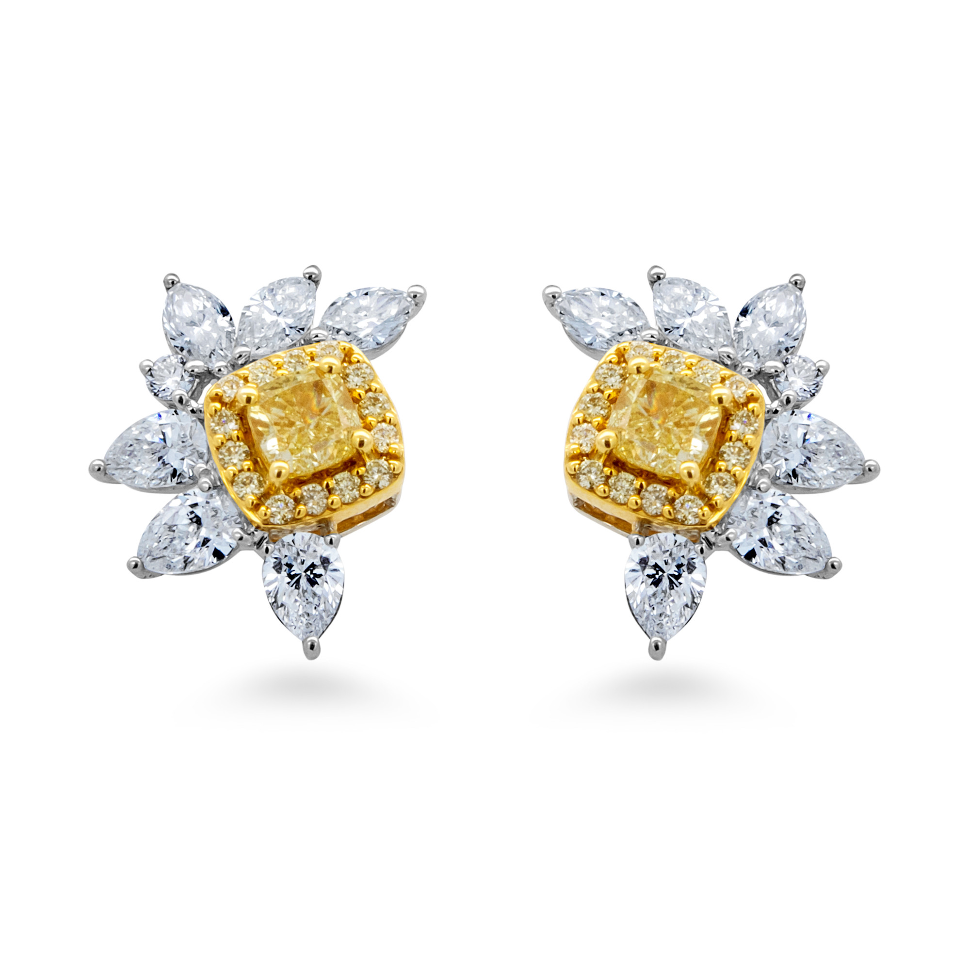 Fancy Diamond Earring