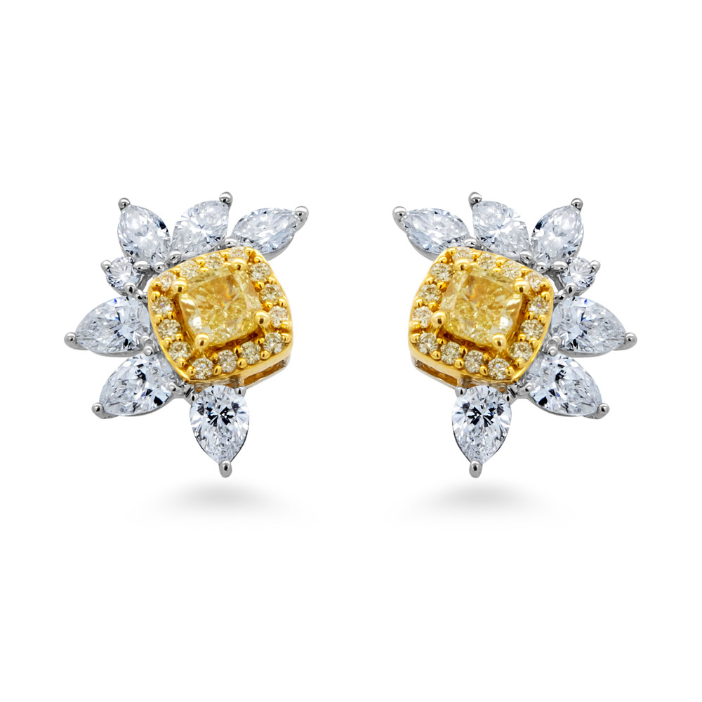 Image of Fancy Diamond Earring