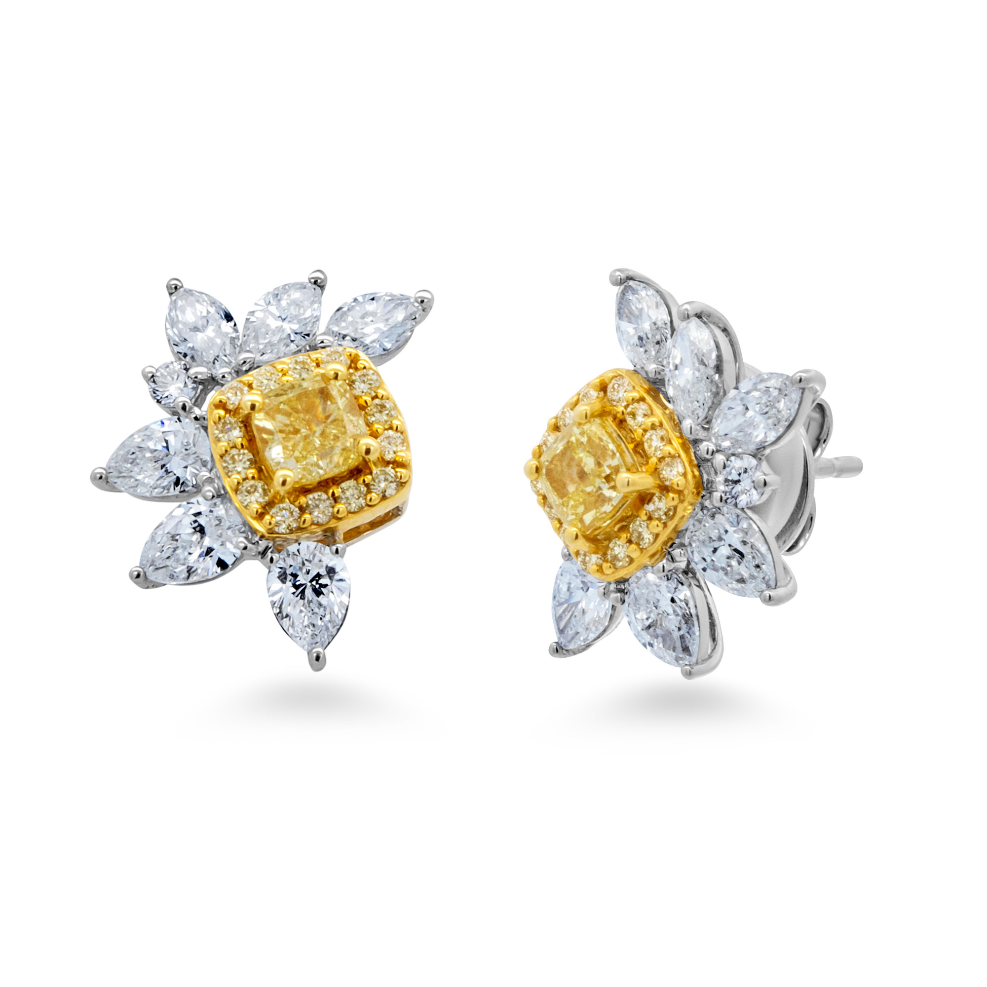 Fancy Diamond Earring