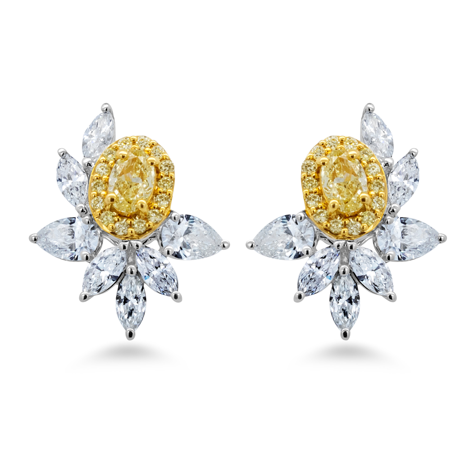 Fancy Diamond Earring