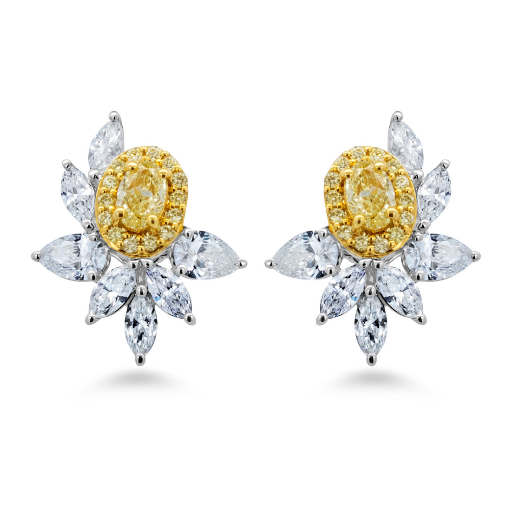 Image of Fancy Diamond Earring