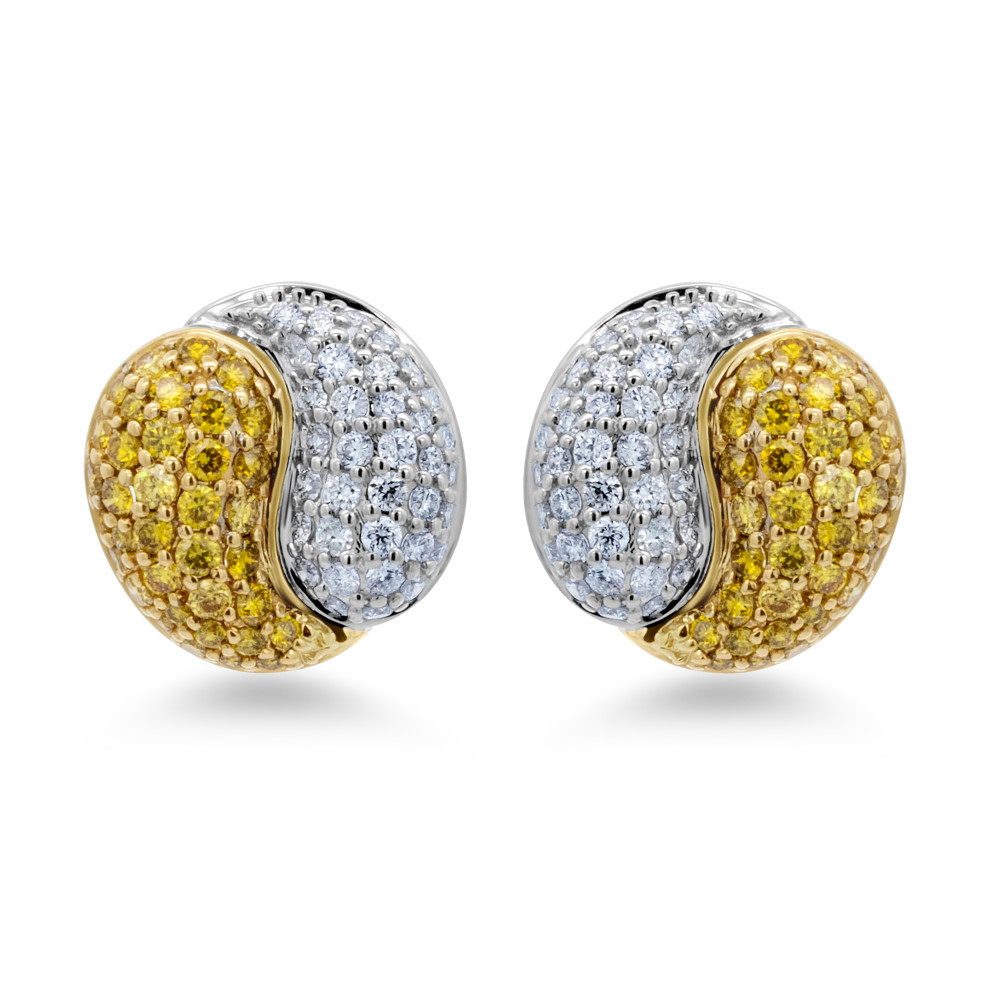 Image of Fancy Diamond Earrings