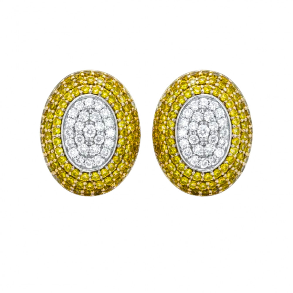 Image of Fancy Diamond Earrings