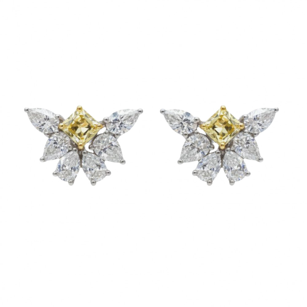 Image of Fancy Diamond Earring