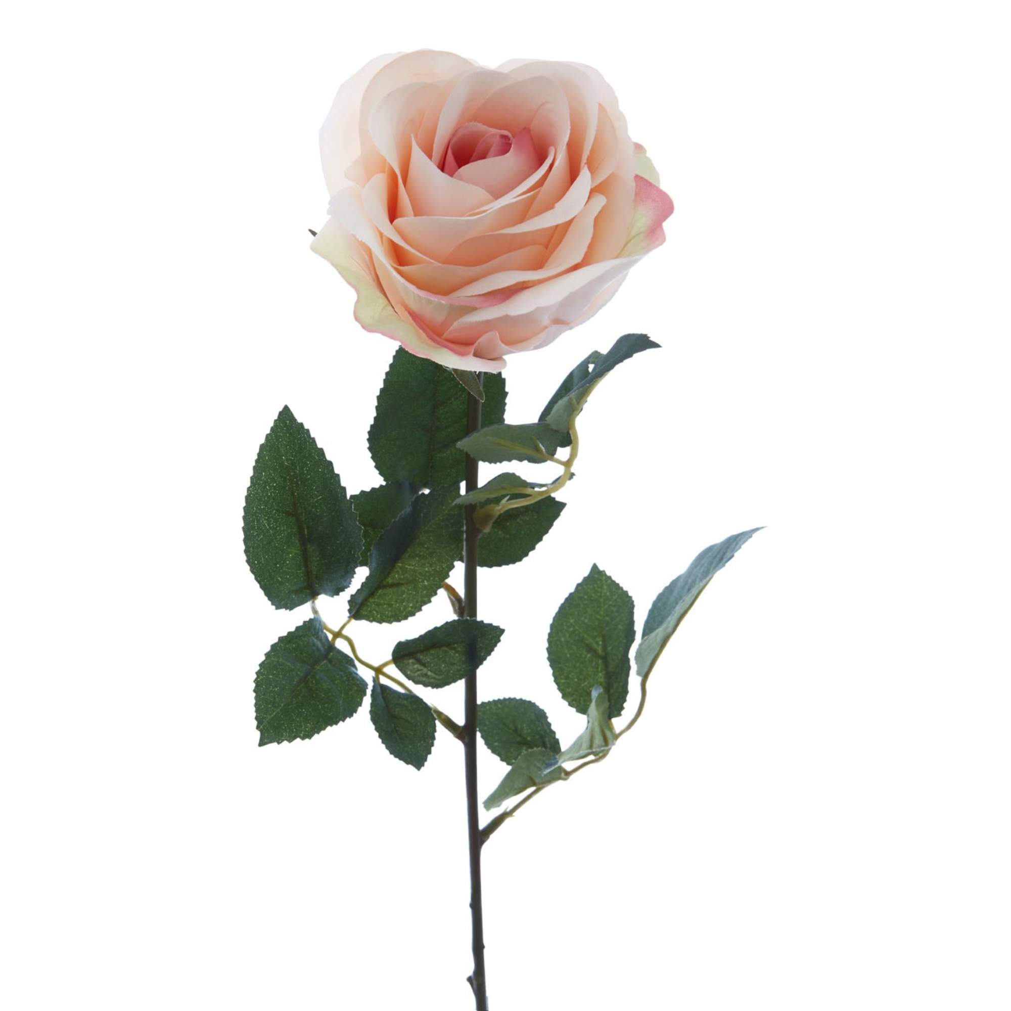 Faux Rose Stem - BBFPP09