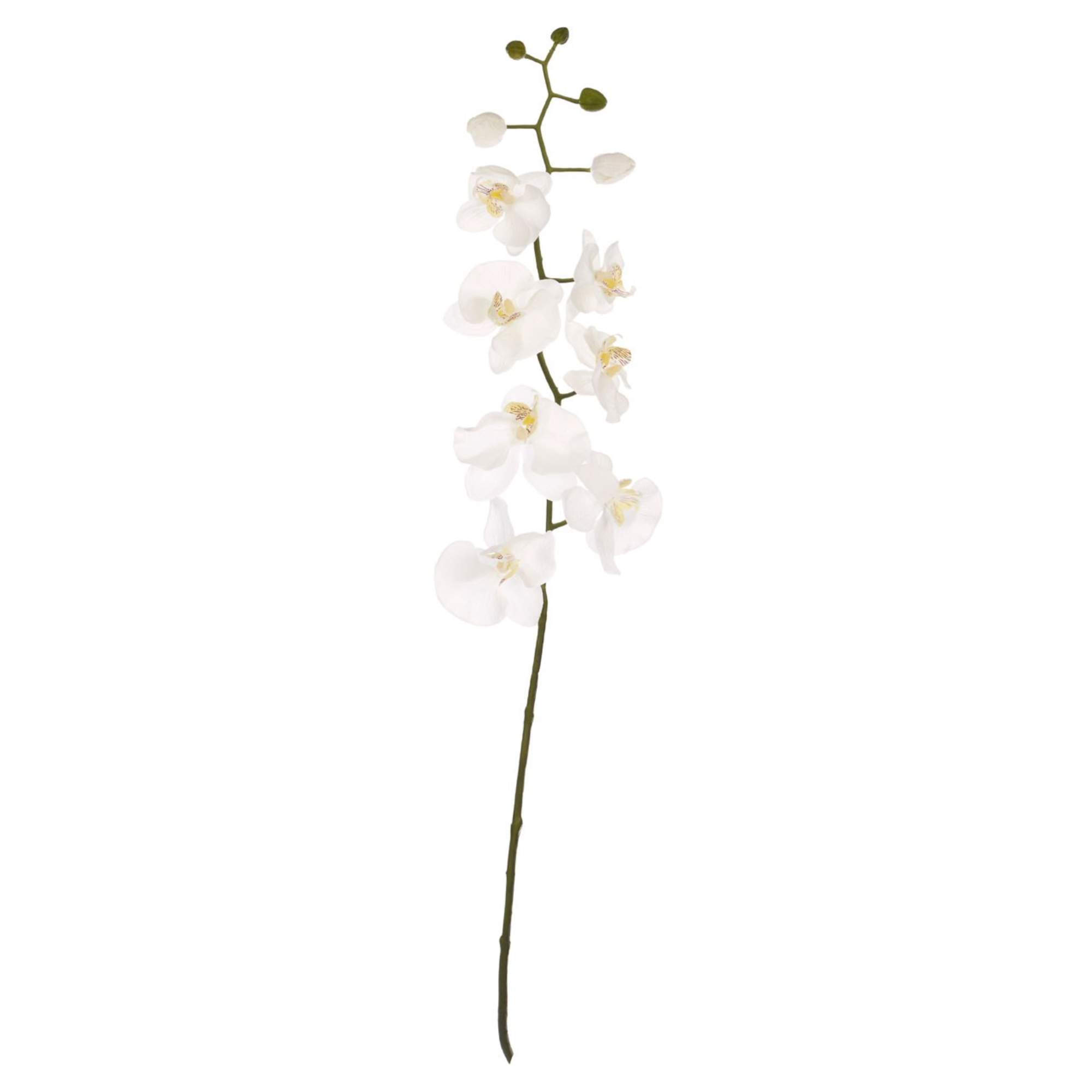 Faux Orchid Stem - BBFPP10