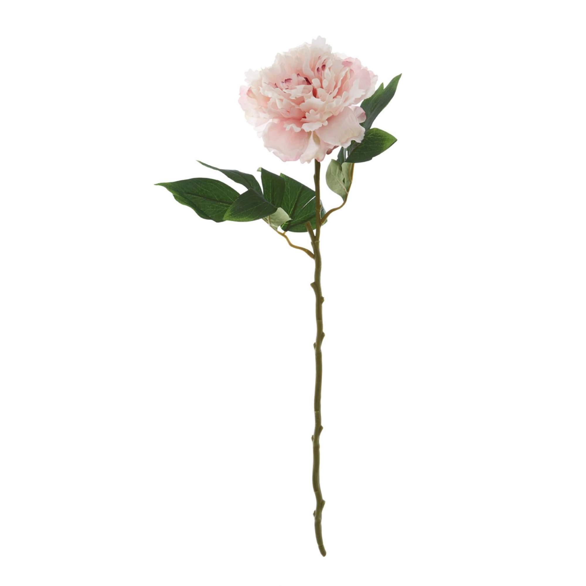 Faux Peony Stem - BBFPP13