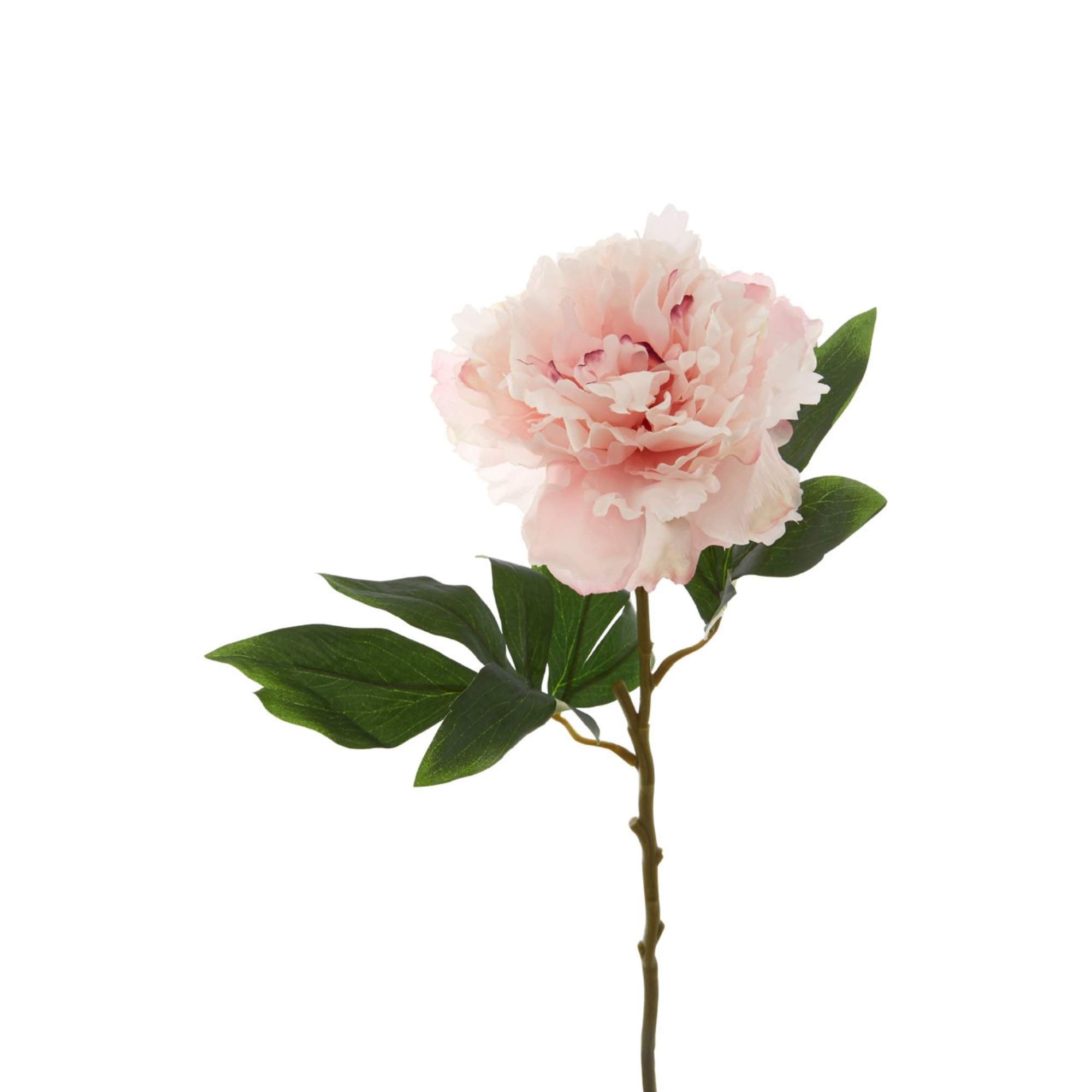 Faux Peony Stem - BBFPP13